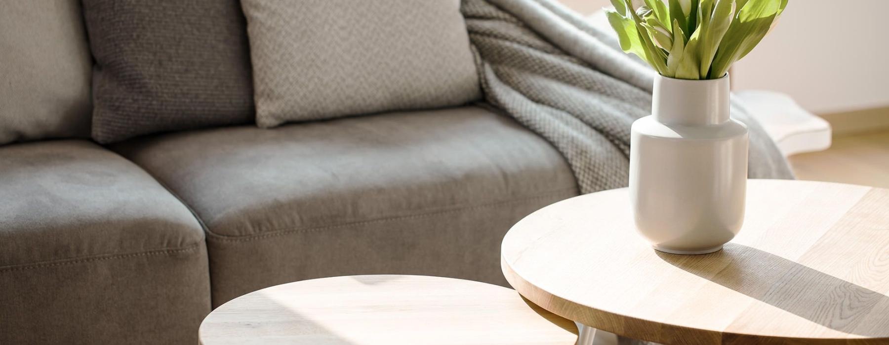a couch with a table and a vase with plants on it